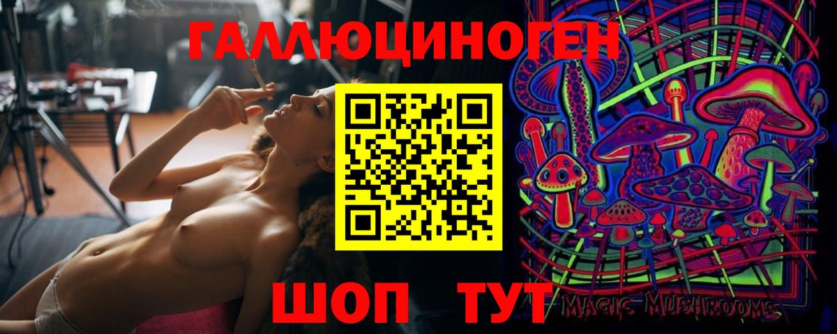 Псилоцибиновые грибы Psilocybe Сатка