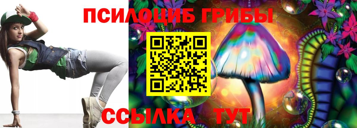 Сатка  Псилоцибиновые грибы GOLDEN TEACHER  Вход с VPN 